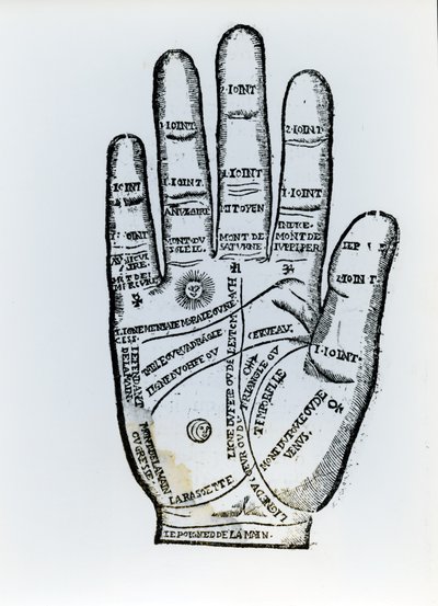 Palmistry by English School